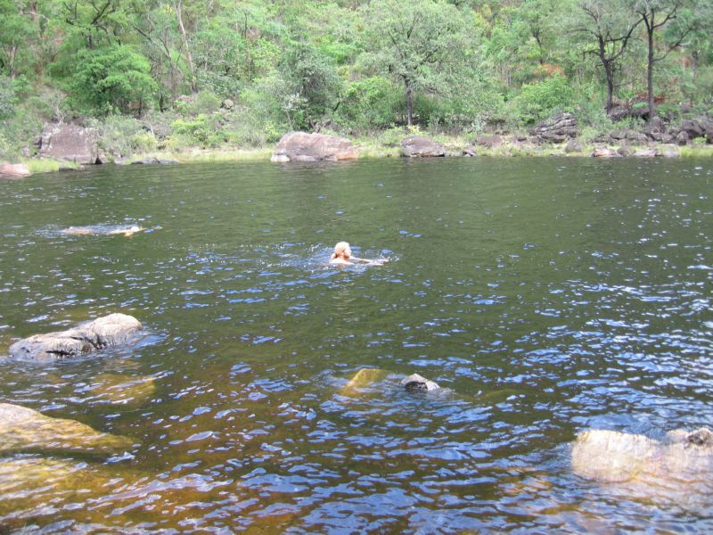 2008-01-09 Chapada (59) and nibbling fish